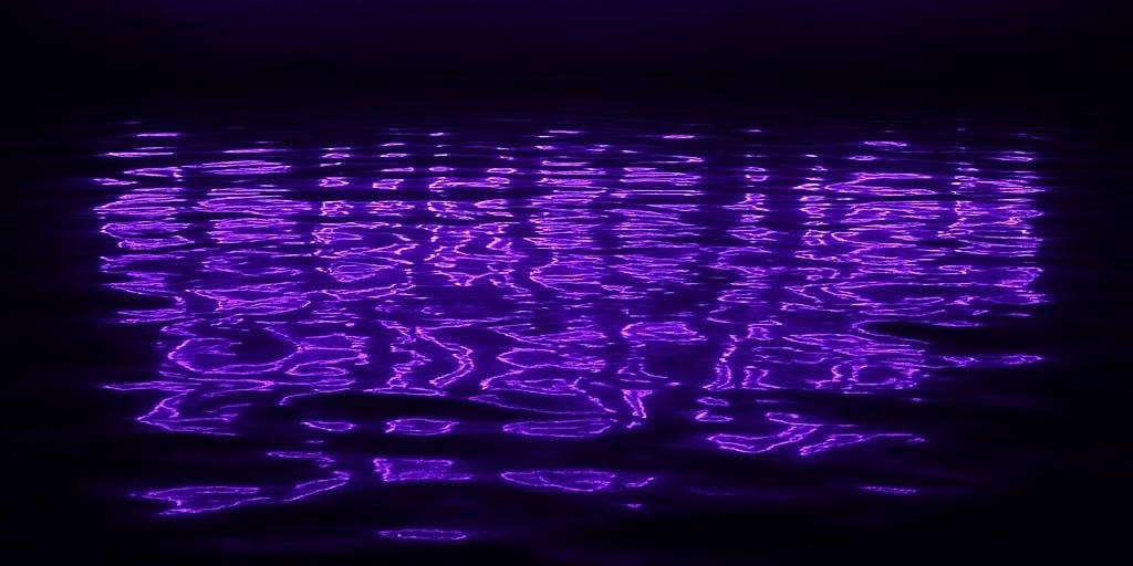 FREE – Reservoir Access